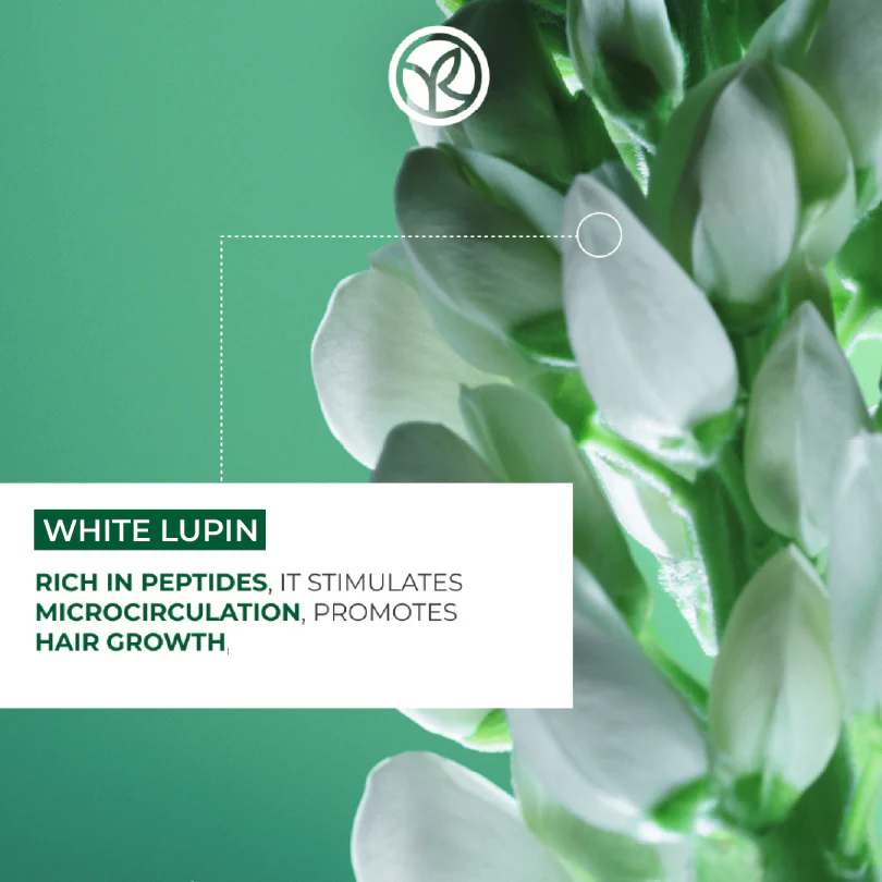 Fortifying Shampoo - Density - Image 3