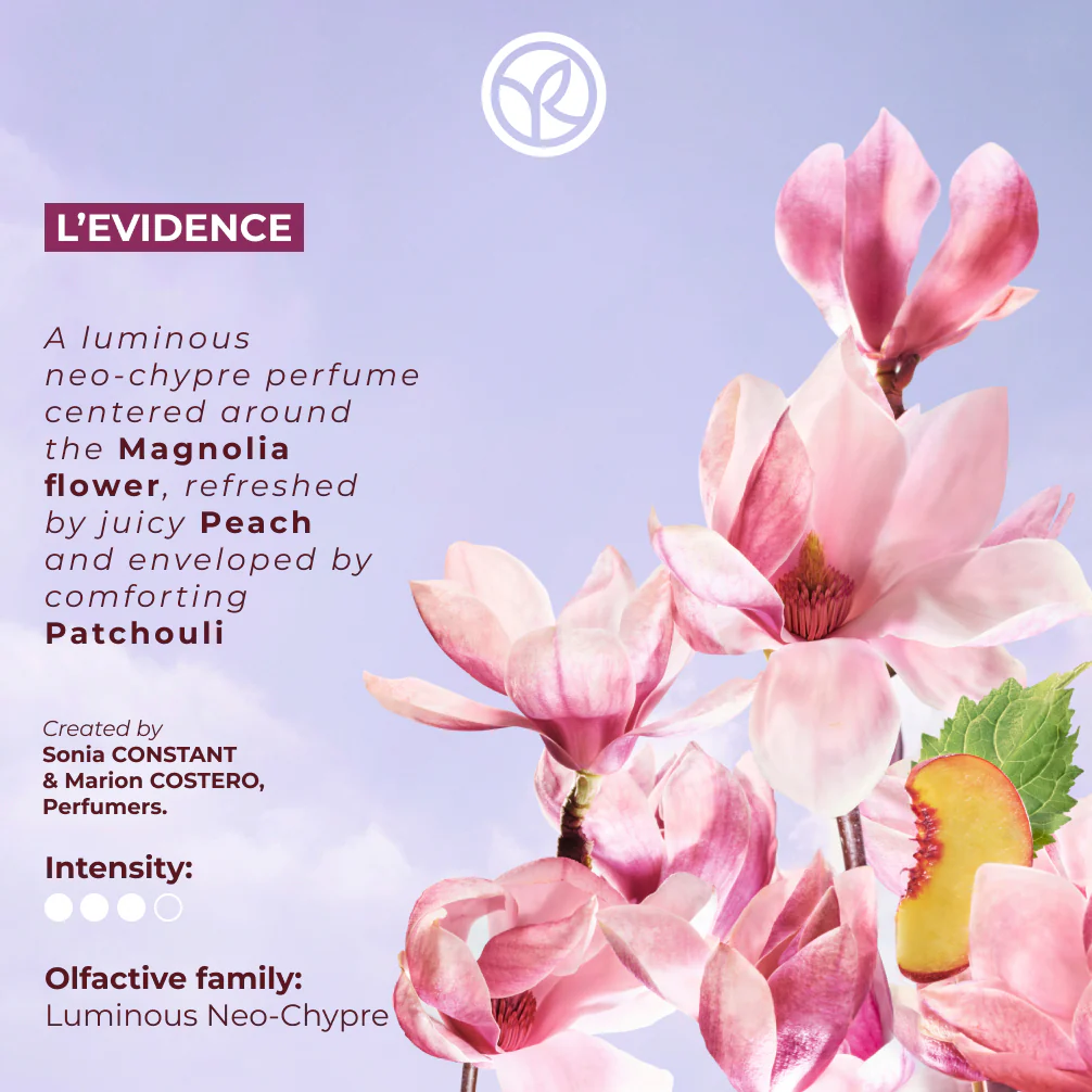 L'evidence Set - Image 2