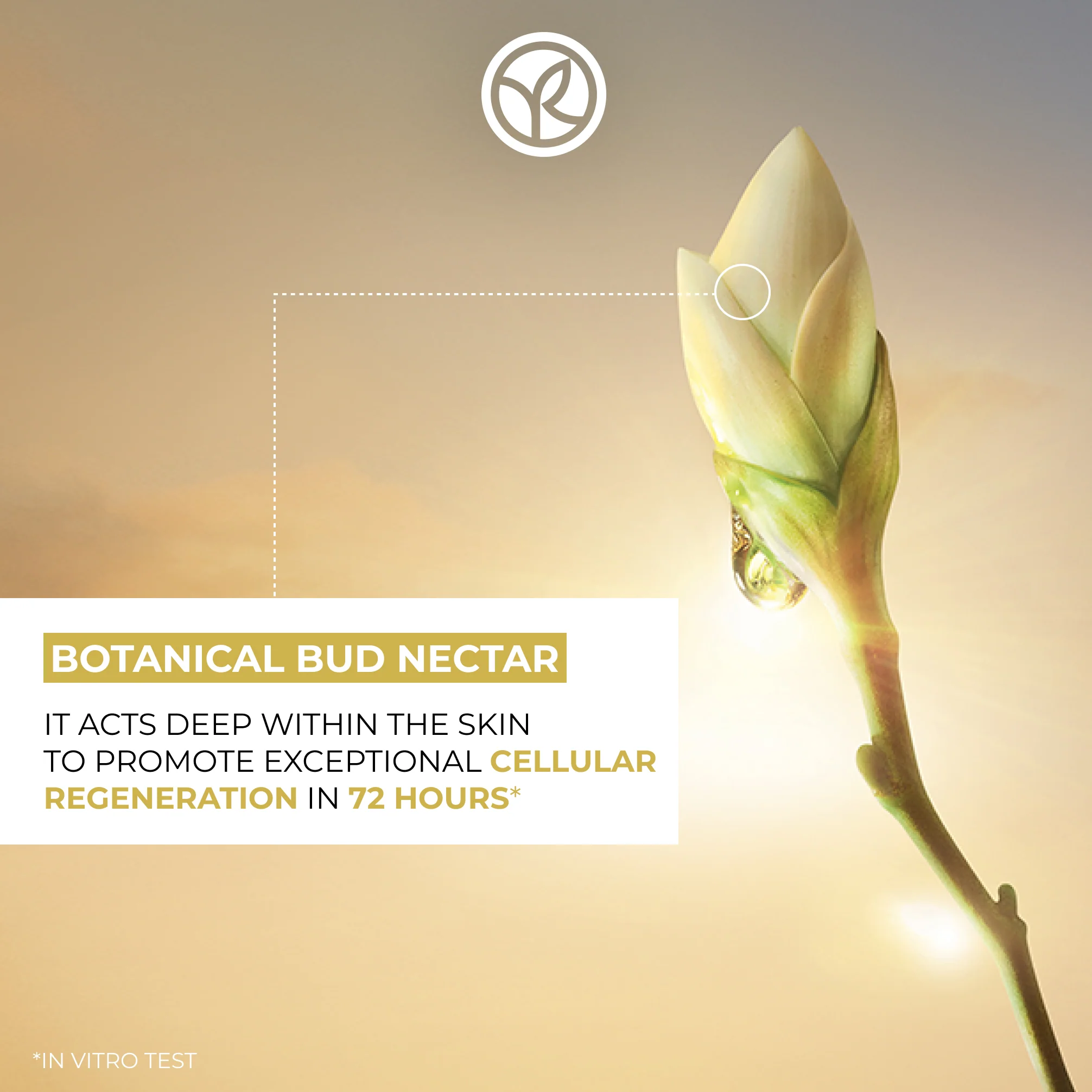 The Anti-Aging Beautifying Day Cream - All Skin Types - Image 8