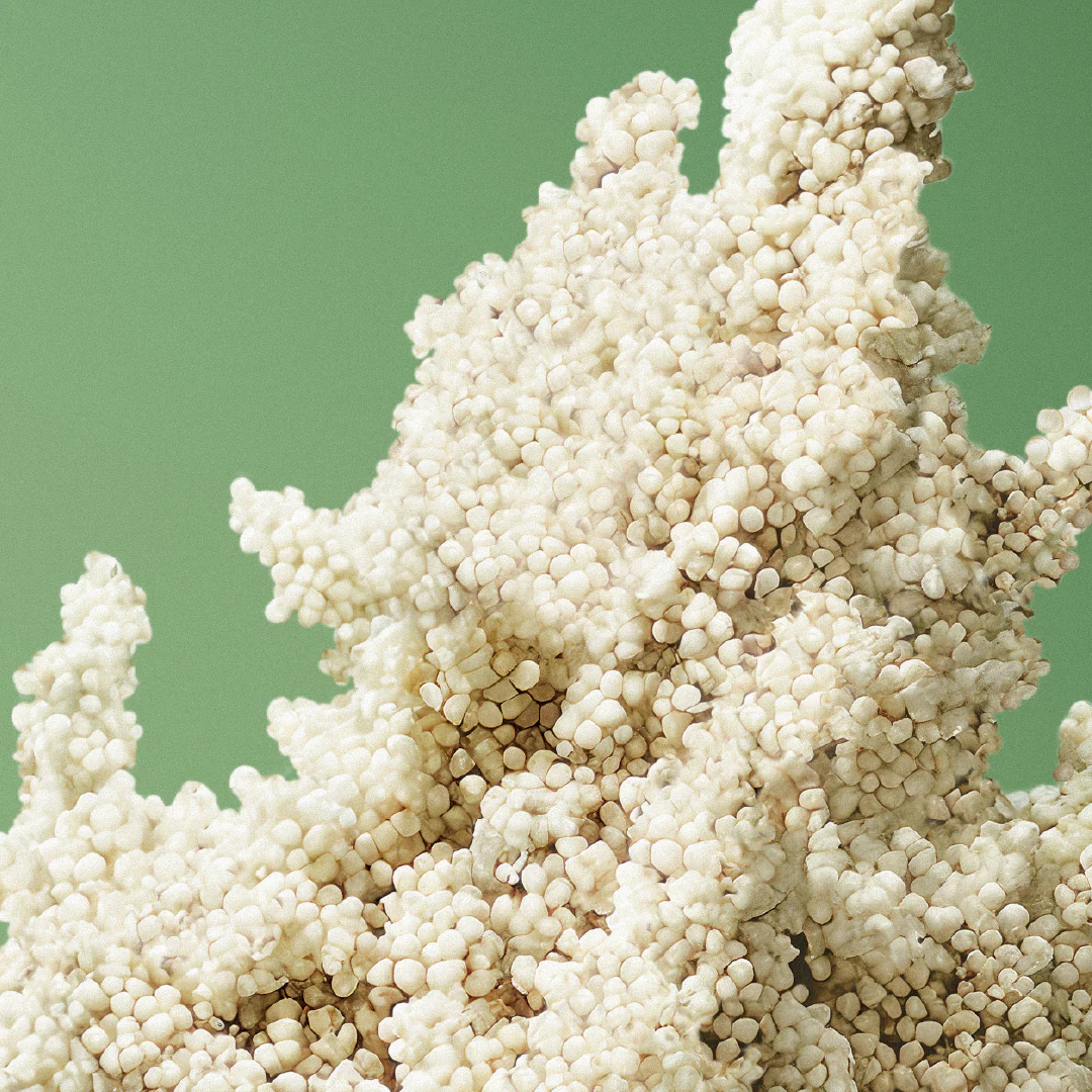 Plumping Volume Shampoo - Image 5